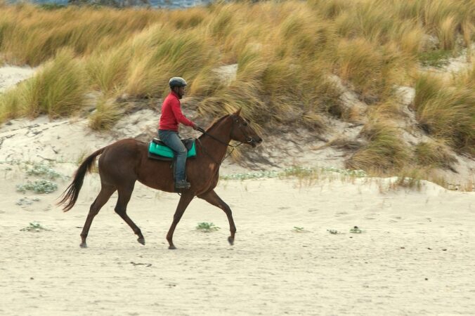 Reiten am Strand - Urlaub auf Usedom