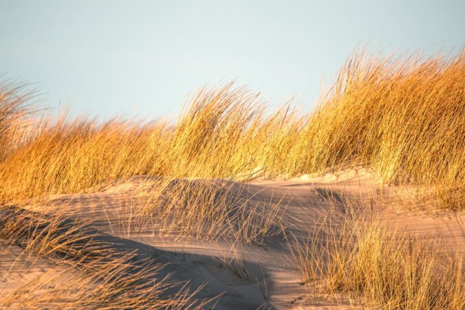 Sanddünen - Urlaub auf Usedom