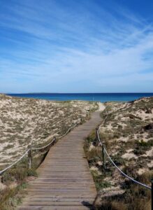 Sanddünen - Urlaub auf Usedom